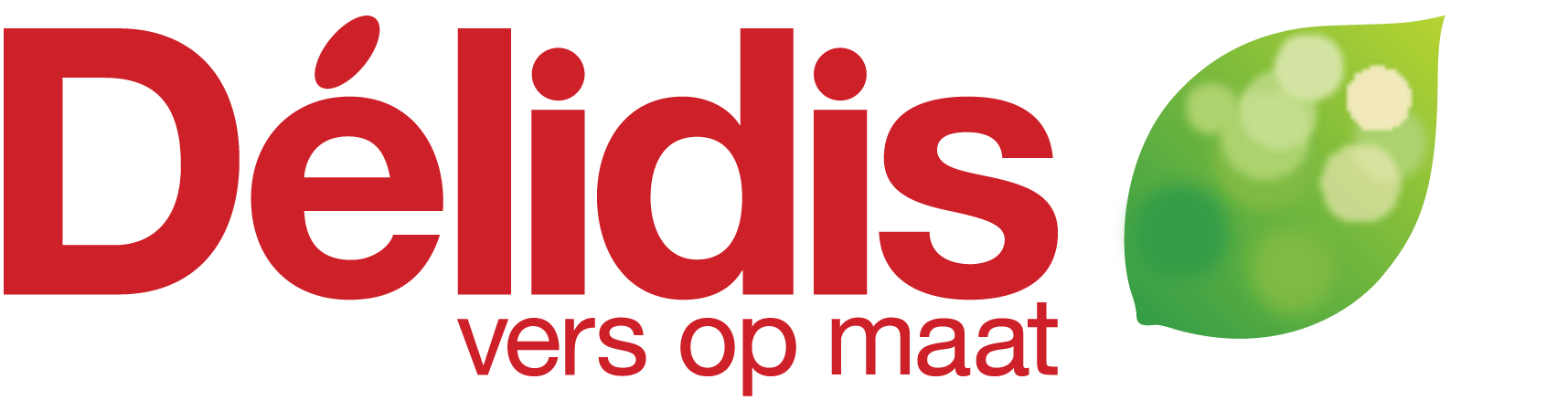 D&eacute;lidis logo